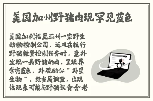 坐在学霸的棍子上背单词电影